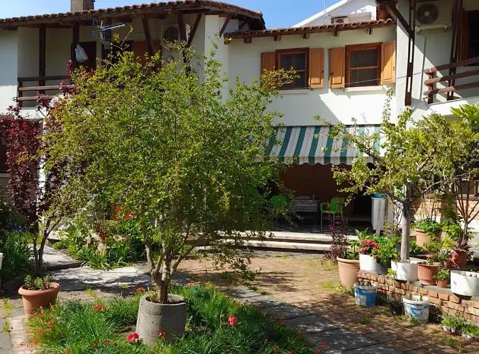 Дом отдыха Mitrojorgji Шенджин